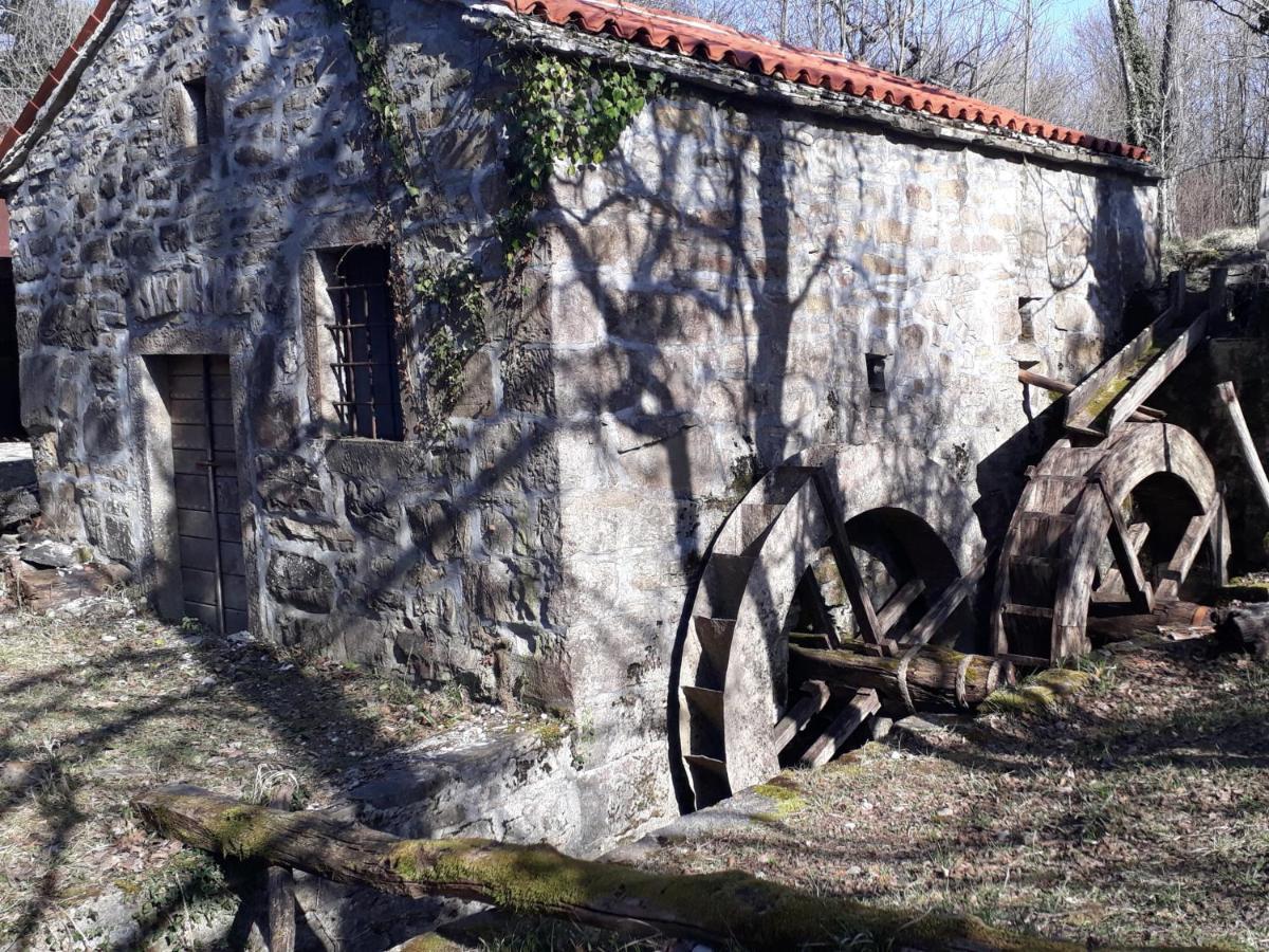 Affittacamere Wine House Rakar Gračišče Esterno foto