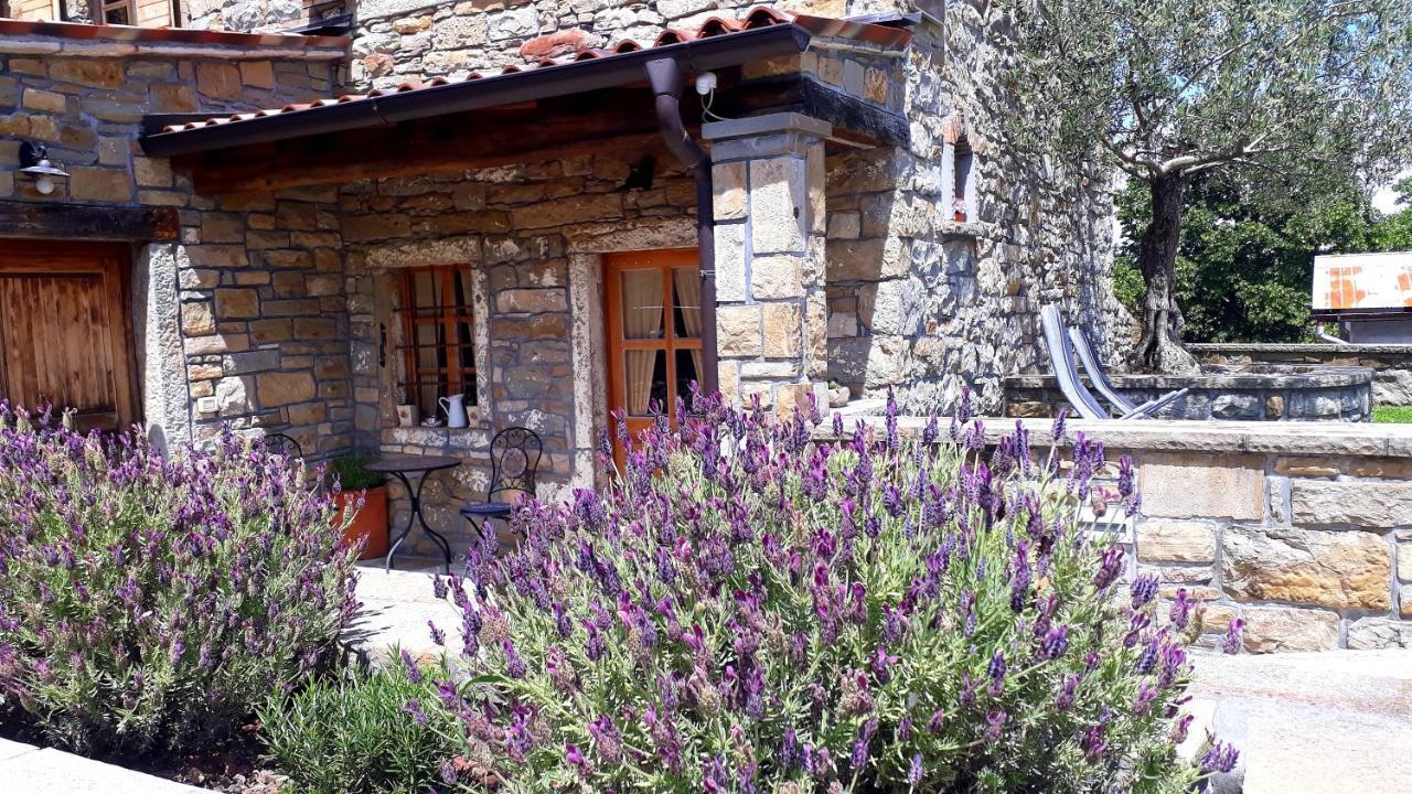 Affittacamere Wine House Rakar Gračišče Esterno foto