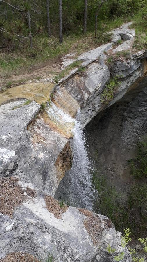 Affittacamere Wine House Rakar Gračišče Esterno foto