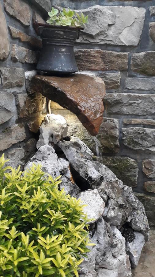 Affittacamere Wine House Rakar Gračišče Esterno foto