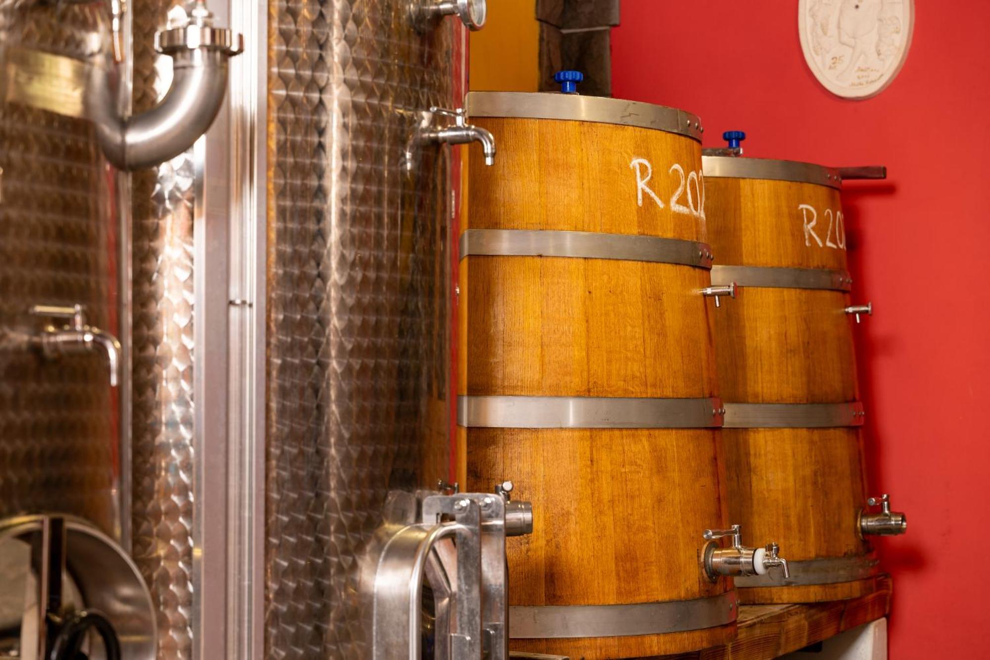 Affittacamere Wine House Rakar Gračišče Esterno foto