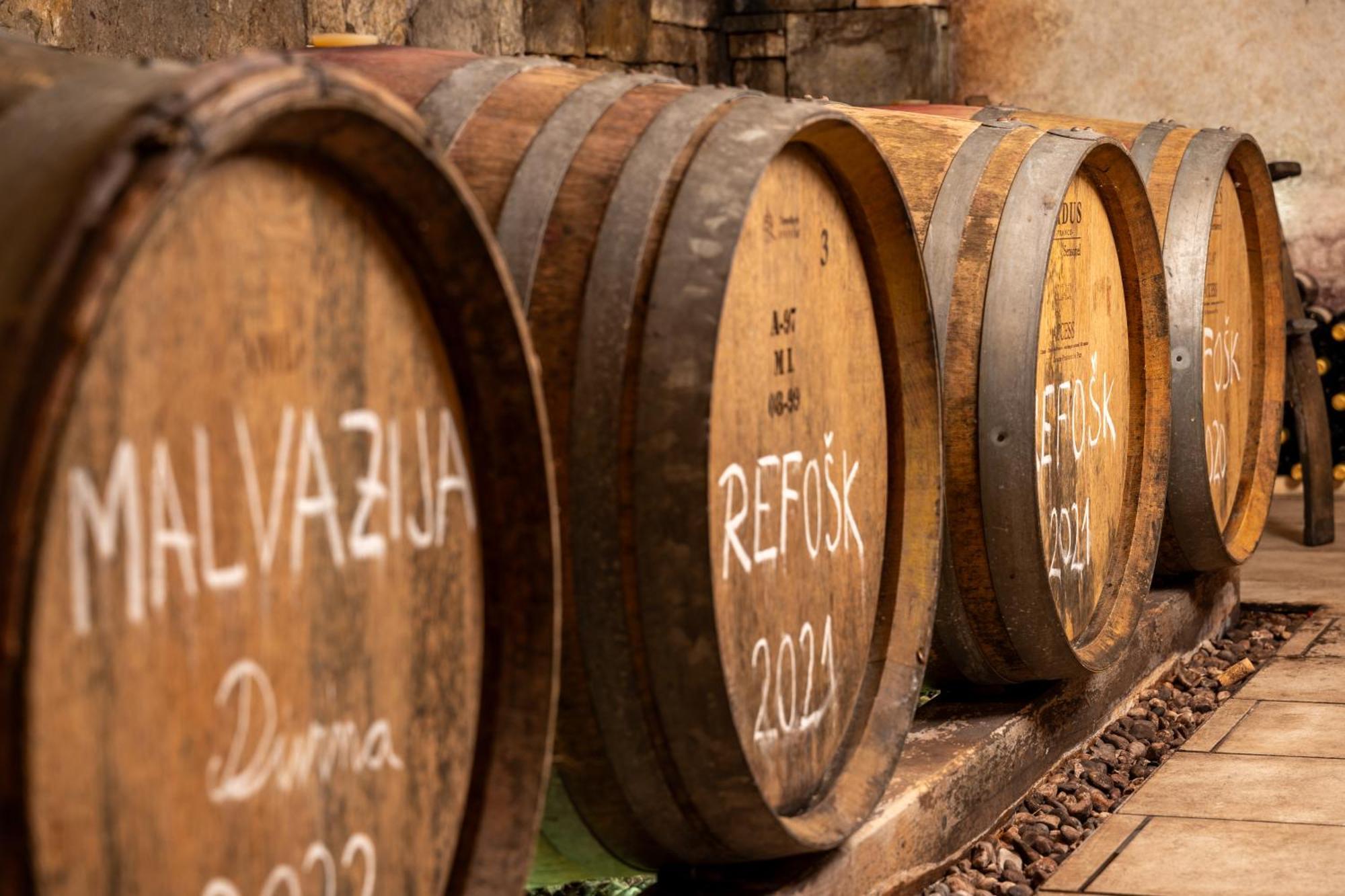 Affittacamere Wine House Rakar Gračišče Esterno foto