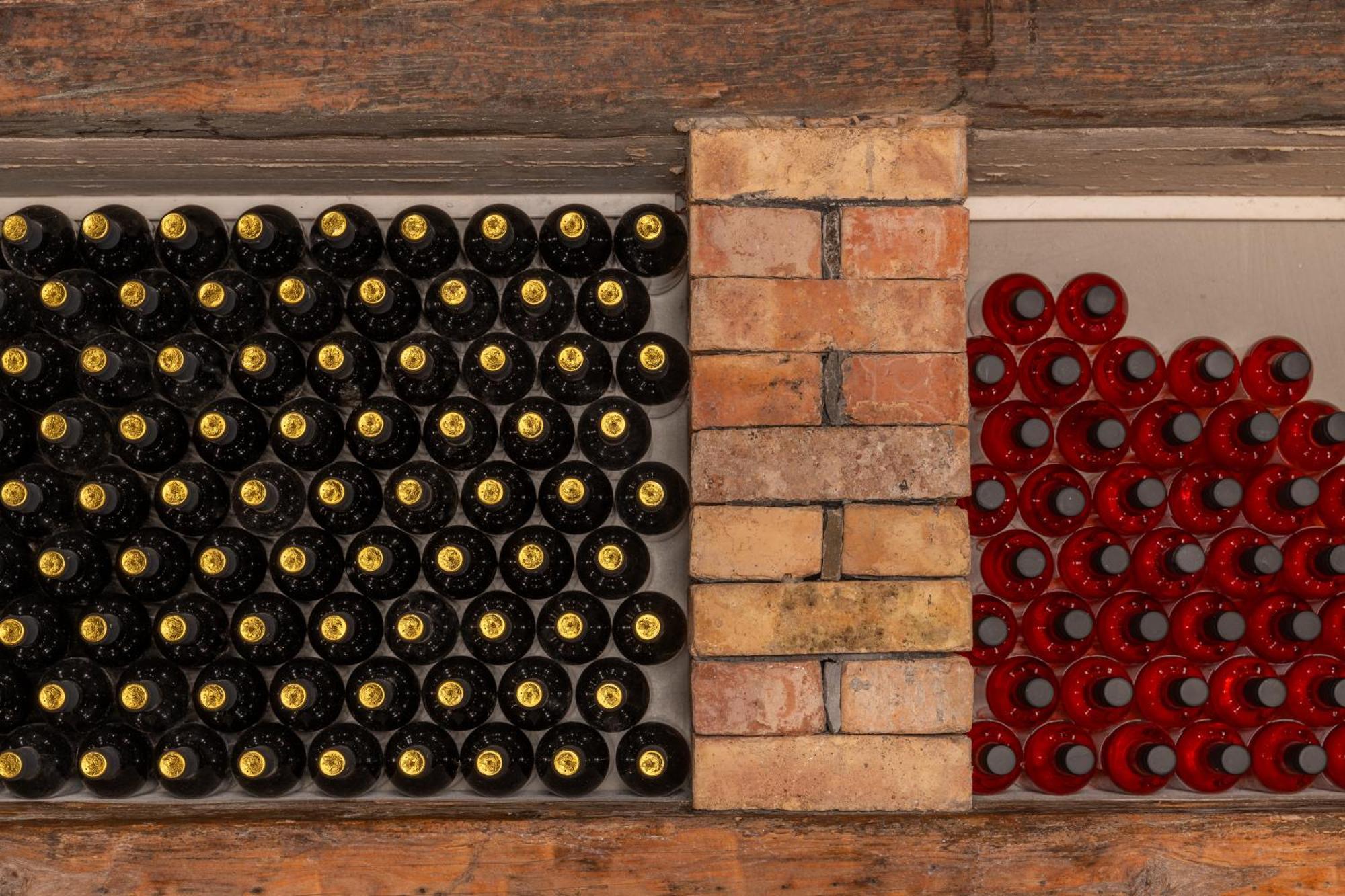 Affittacamere Wine House Rakar Gračišče Esterno foto