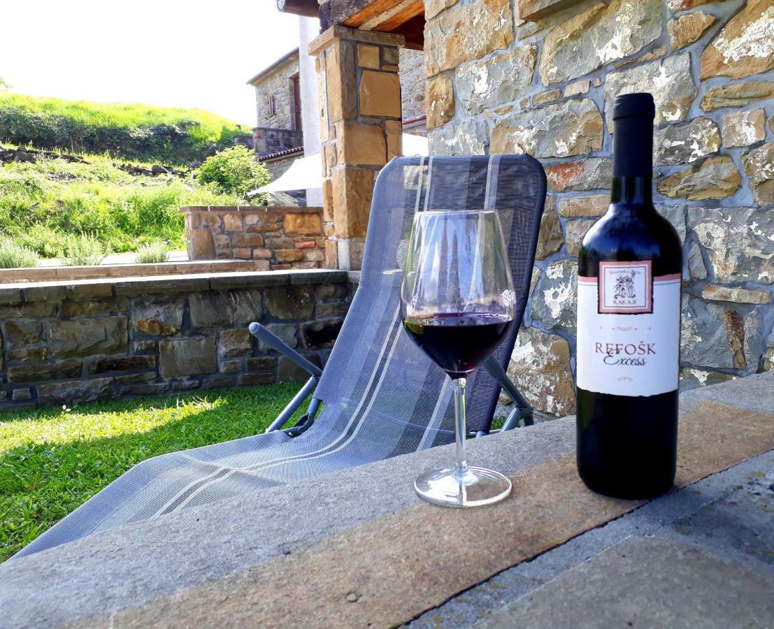 Affittacamere Wine House Rakar Gračišče Esterno foto