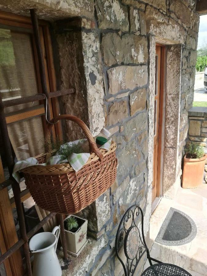 Affittacamere Wine House Rakar Gračišče Esterno foto